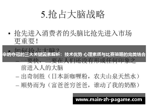 辛纳夺冠的三大关键因素解析：技术优势 心理素质与比赛策略的完美结合