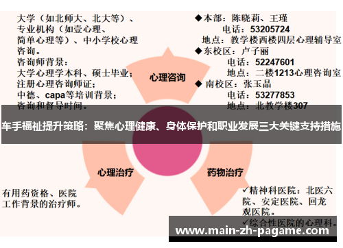车手福祉提升策略:聚焦心理健康、身体保护和职业发展三大关键支持措施 车手福祉提升策略:聚焦心理健康、身体保护和职业发展三大关键支持措施