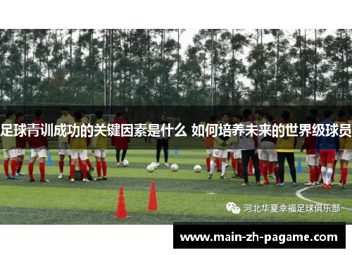 足球青训成功的关键因素是什么 如何培养未来的世界级球员 足球青训成功的关键因素是什么 如何培养未来的世界级球员